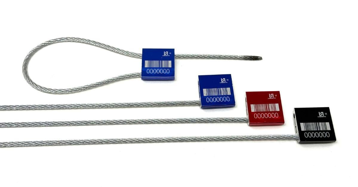 What Is the Future of Electronic Security Seals?
